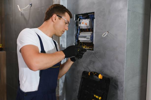 Best Electrical System Inspection  in Adel, IA